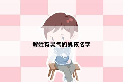 解姓有灵气的男孩名字