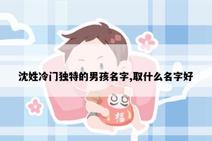 沈姓冷门独特的男孩名字,取什么名字好